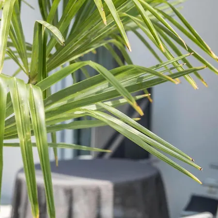 Mit Kaffeekueche Fuer Zwei Apartmán