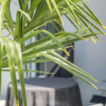 Mit Kaffeekueche Fuer Zwei דירה *